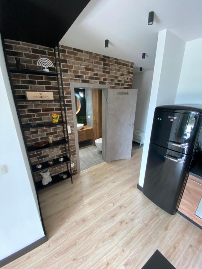 Apartament Delux Przy Wisle Apartment Krakow Exterior photo
